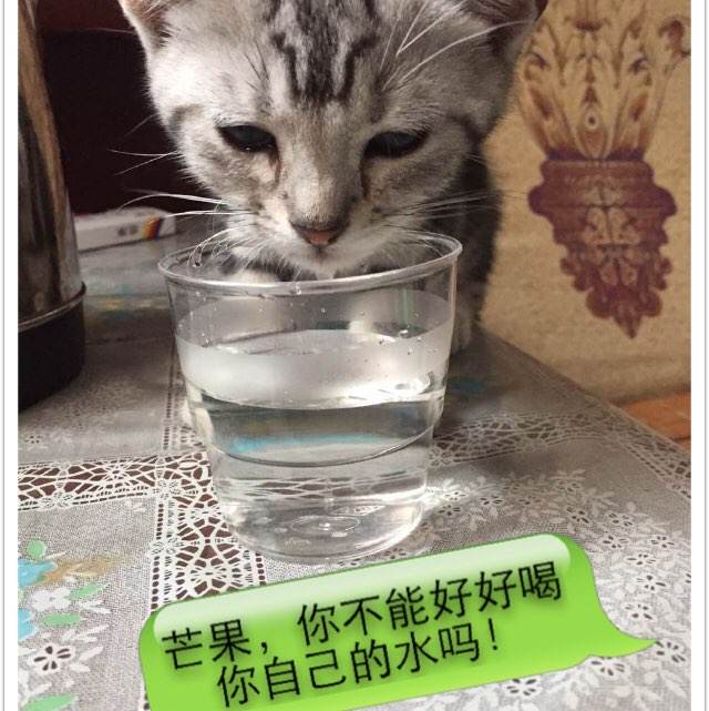 和歌山大学 Sociological degree